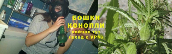 ПСИЛОЦИБИНОВЫЕ ГРИБЫ Белоозёрский