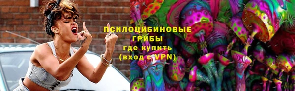 ПСИЛОЦИБИНОВЫЕ ГРИБЫ Белоозёрский